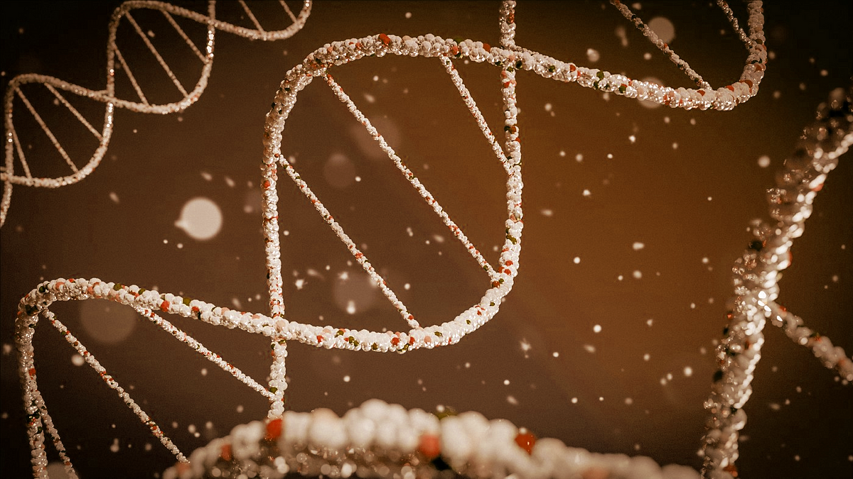 Design Tokens and Components in TruePay